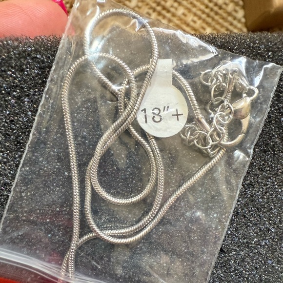 SEAHAWKS Necklace - silver plated with 18”+ chain, BNWT - Picture 2 of 4